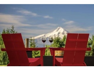 Wineries Near Hood River: Unwind with Wine Tasting in the Columbia River Gorge