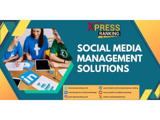 Empower Your Brand with Our Social Media Management Solutions