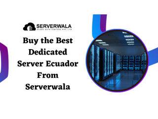 Buy the Best Dedicated Server Ecuador From Serverwala