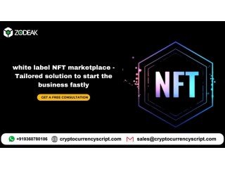 White label NFT marketplace - Tailored solution to start the business fastly