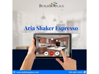 Indulge in Luxury Aria Shaker Espresso Decoded