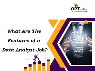What Are The Features Of A Data Analyst Job?