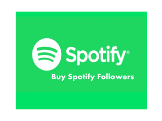 Buy Spotify Followers Online at A Cheap Price