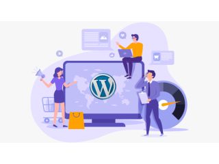 Professional WordPress Web Design Services in Washington DC