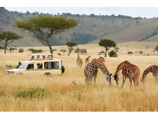 Unforgettable Paradise Adventurer Tour Packages — Africa Paradise Adventures