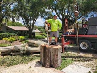 Get Top-Quality Tree Removal Services in Your Area
