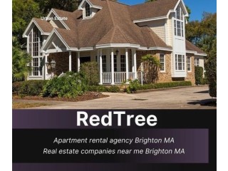 Enjoy the Urban Living Comfort Hiring an Apartment Rental Agency Brighton MA