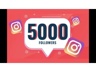 Get 5000 Instagram Followers Online at Cheap Price