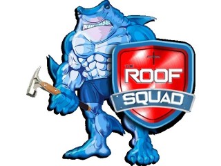 The Roof Squad Fishers