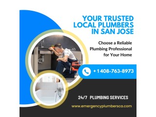 Choose A Reliable Plumbing Professional For Your Home