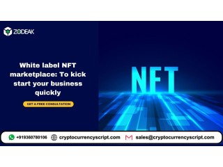 White label NFT marketplace: To kick start your business quickly