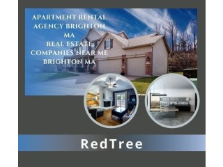 Unmatched Comfort and Convenience with Our Apartment rental agency Brighton MA