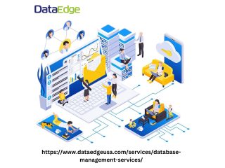 Database Services | Database Management Support