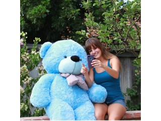 Trendy Cool Teddy Bears - Shop Now At Giant Teddy