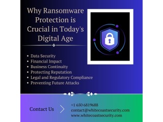 Why Ransomware Protection is Crucial in Today's Digital Age