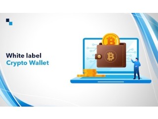 Introducing Potent White Label Crypto Cards