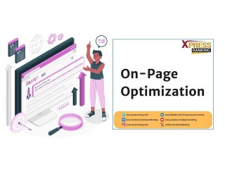 Get Your Website Visible With On-Page SEO Solutions from Xpress Ranking!