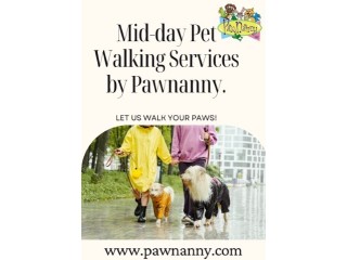 Mid-day Pet Walks | Pawnanny