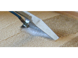 GET EXPERT PROFESSIONAL ORIENTAL RUG CLEANING