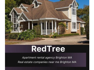 Exclusive Insider Tips for Renting an Apartment with apartment rental agency Brighton MA