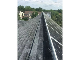 Professional Installation of Solar Panel Critter Guards