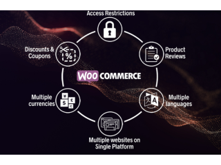 Leading WooCommerce Development Company your WooCommerce solution