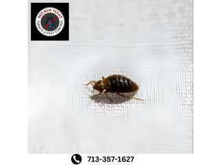 Banish Bed Bugs in Texas! Reach Us at +1 713-357-1627 for Swift Solutions!