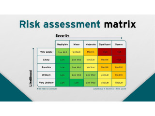 Free risk assessment Protocol Template Download