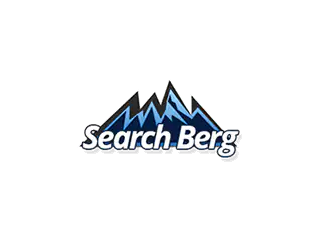 SearchBerg Reviews | SEO Testimonials from Clients