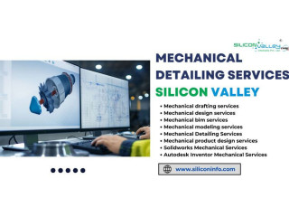 Mechanical Detailing Services Firm - USA