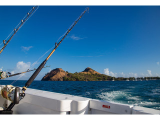 EXODUS BOAT CHARTERS: THRILLING ST. LUCIA SNORKELING EXCURSIONS