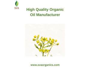 High Quality Organic Oil Manufacturer