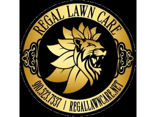 Best Lawn Care & Landscaping Services