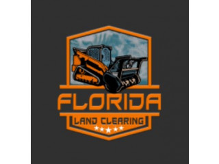 Land Clearing In Micanopy Florida