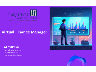 Virtual Finance Manager: Professional Financial Management Online