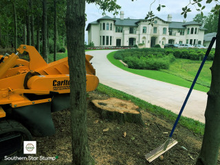 Get Your Yard Back! Easy & Affordable Stump Removal - Brookhaven