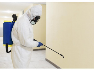 Choose Expert For Termite Treatment Services in Los Angeles