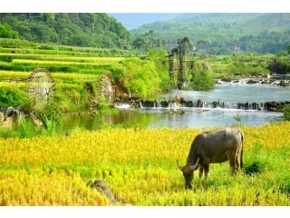 One of the must-recommend Vietnam travel agency