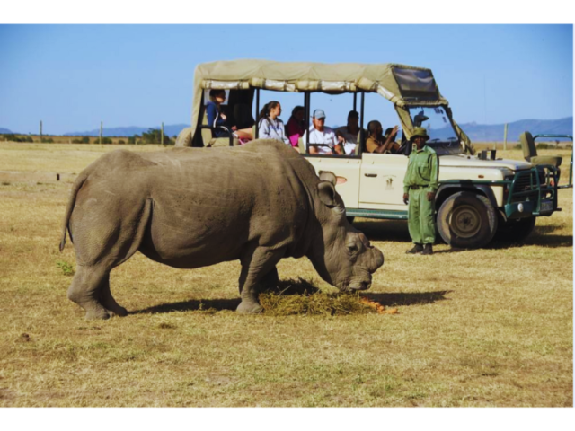 ngorongoro-crater-safari-tanzania-tanzania-safari-tours