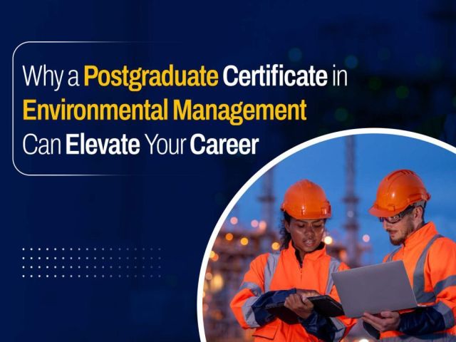 best-pg-diploma-human-resource-management-online-course