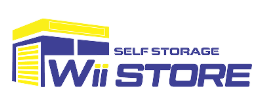wiistore-big-0