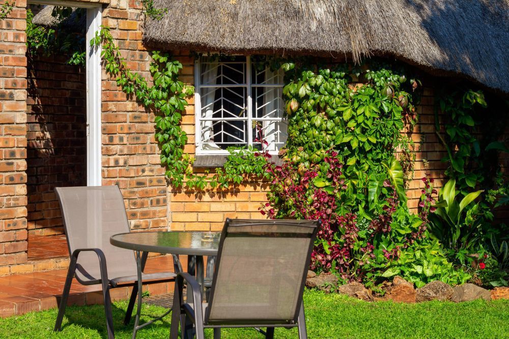 tree-aloe-guest-house-offers-a-tranquil-experience-big-0