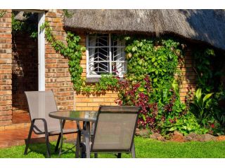 tree-aloe-guest-house-offers-a-tranquil-experience-small-0