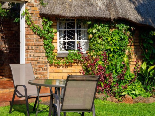 tree-aloe-guest-house-offers-a-tranquil-experience