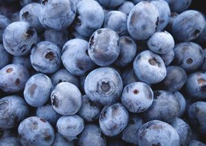 frozen-blueberries-for-sale-bluecrop-holdings-big-0