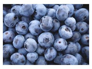 frozen-blueberries-for-sale-bluecrop-holdings-small-0