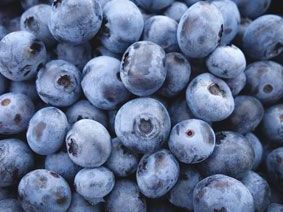 frozen-blueberries-for-sale-bluecrop-holdings