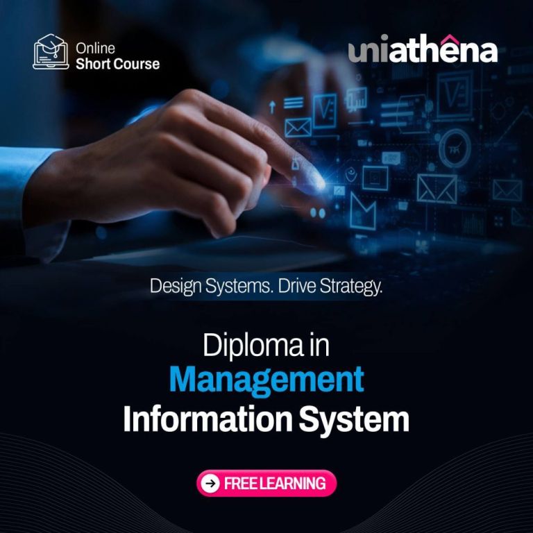 mis-diploma-course-online-certification-big-0