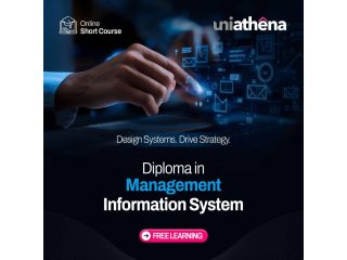 mis-diploma-course-online-certification-small-0