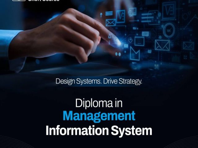 mis-diploma-course-online-certification